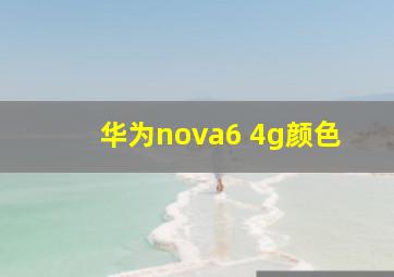 华为nova6 4g颜色